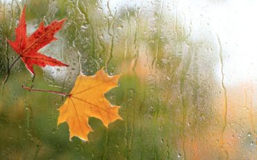 vochtproblemen-tijdens-een-natte-herfst